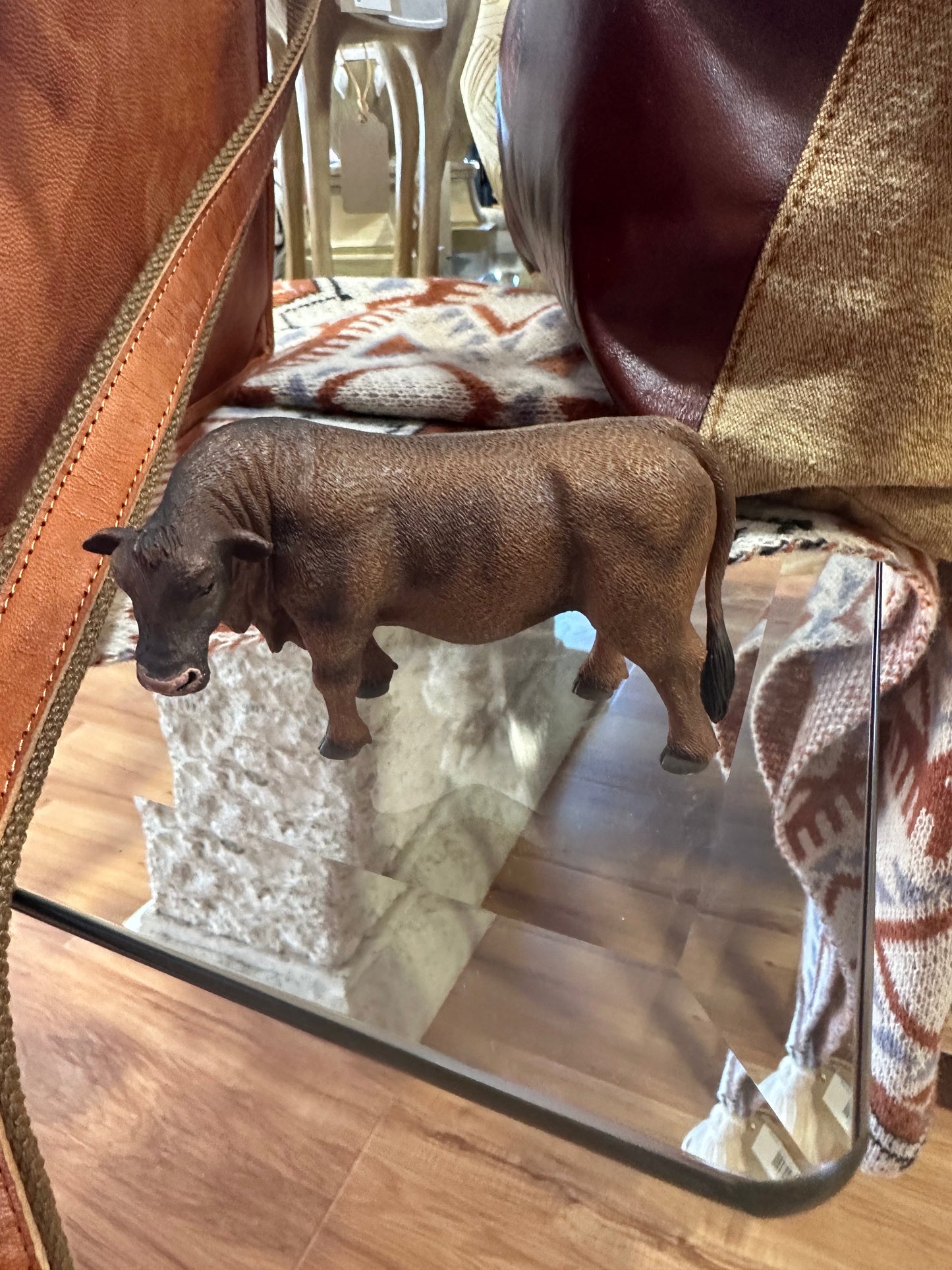 Red Augus Bull