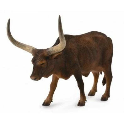 ANKOLE-WATUSI Cow