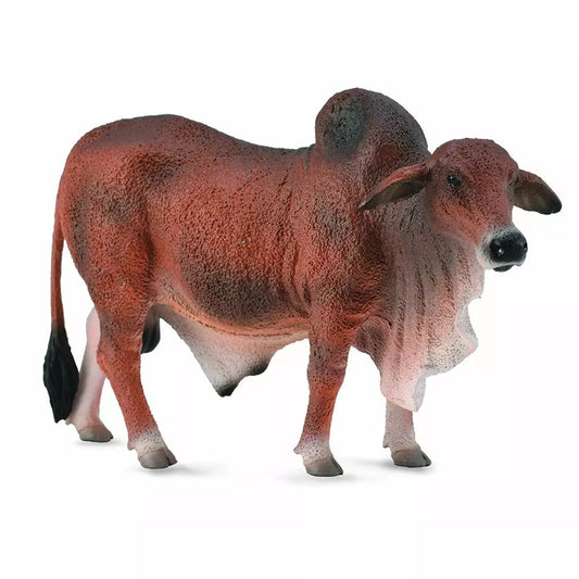 Reb Brahman Bull