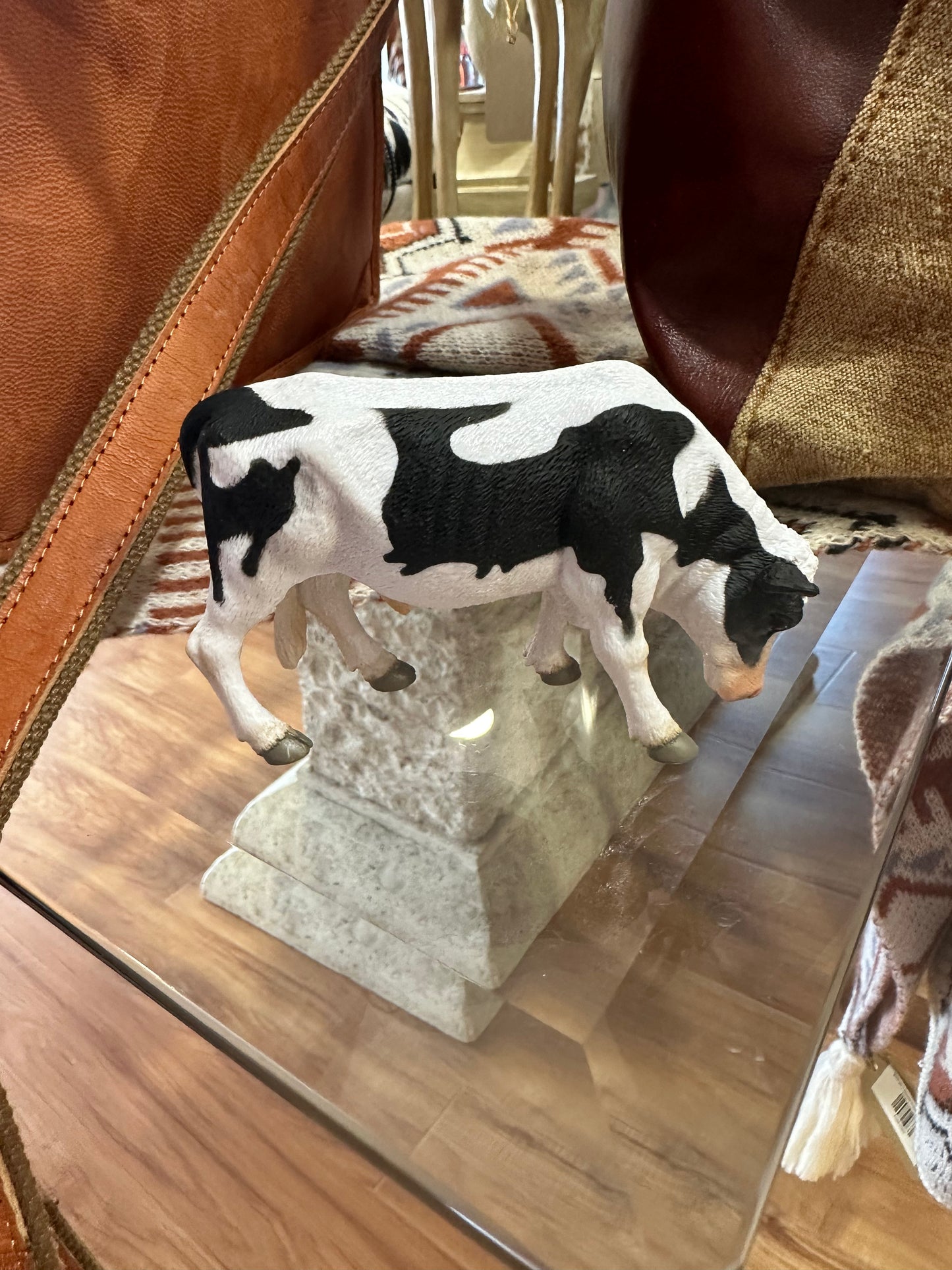 Friesian Bull